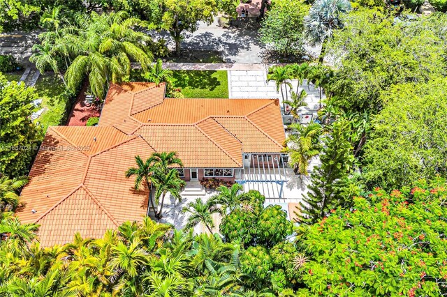911 Mariana Ave, Coral Gables, FL 33134 - photo 47