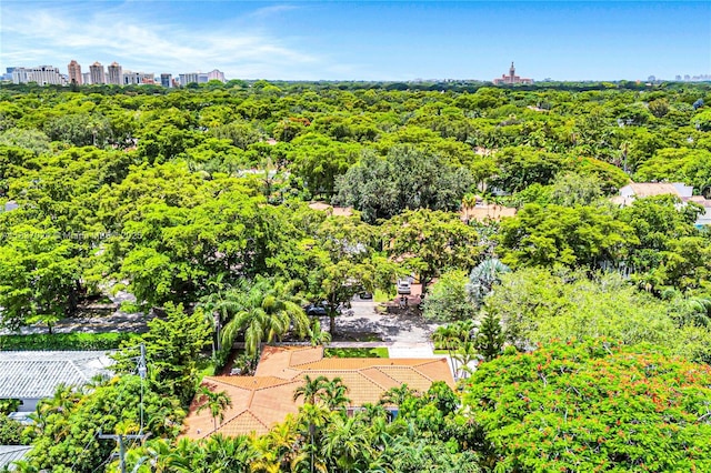 911 Mariana Ave, Coral Gables, FL 33134 - photo 48