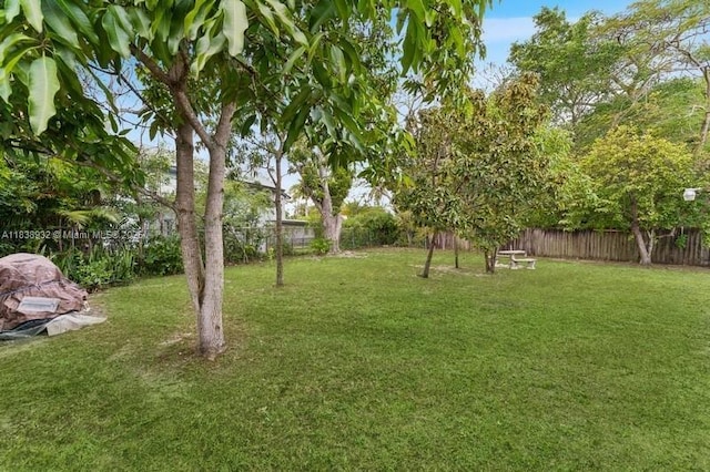 11610 NE 6th Ave, Biscayne Park, FL 33161 - view of fenced backyard