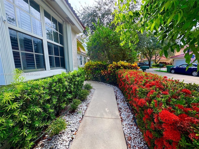 14972 SW 50th Ct, Davie, FL 33331 - view of yard