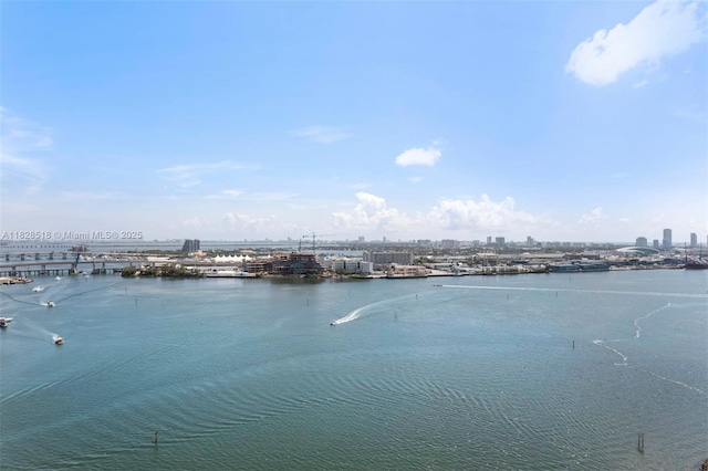 888 Brickell Key Dr Unit 2606, Miami, FL 33131 - photo 22