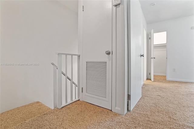 8713 SW 137th Ave Unit 8713, Miami, FL 33183 - hallway featuring carpet floors