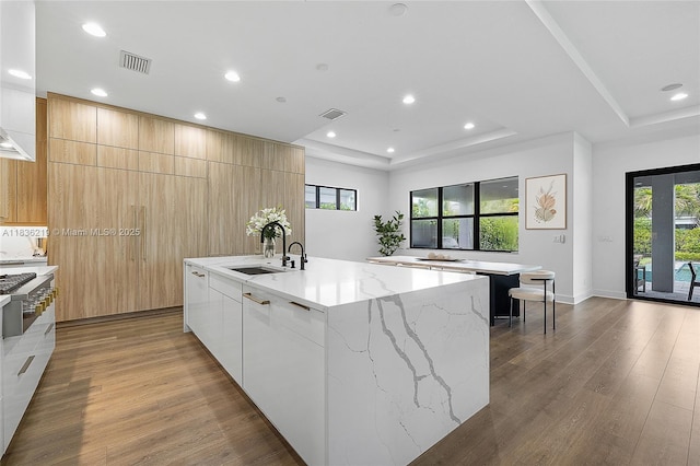 13467 Artisan Cir, Palm Beach Gardens, FL 33418 - kitchen featuring modern cabinets, a raised ceiling, an island with sink, and recessed lighting