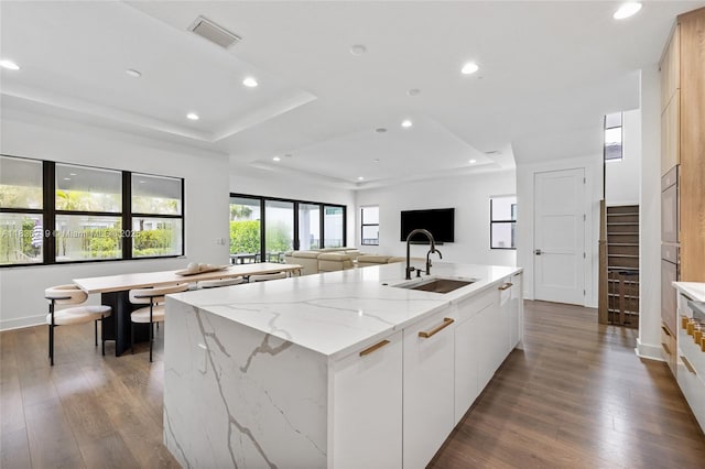 13467 Artisan Cir, Palm Beach Gardens, FL 33418 - kitchen with modern cabinets, a large island with sink, hardwood / wood-style floors, recessed lighting, and light stone countertops