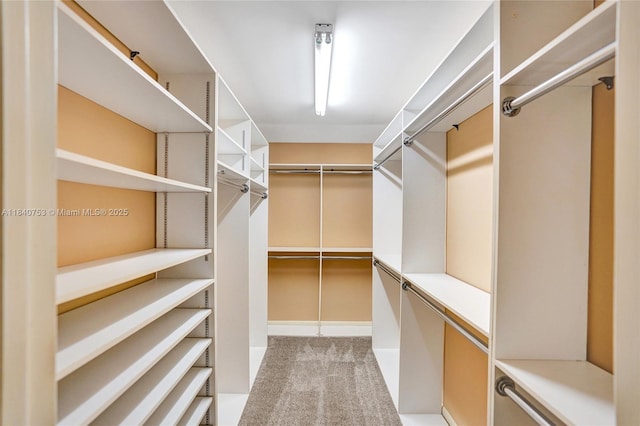 53 Northwoods Ln, Boynton Beach, FL 33436 - walk in closet featuring light carpet