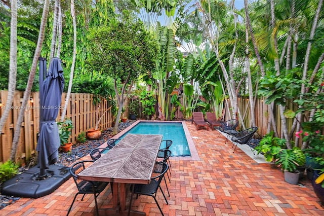 3166 Indiana St Unit I, Miami, FL 33133 - view of swimming pool with a patio and a fenced backyard