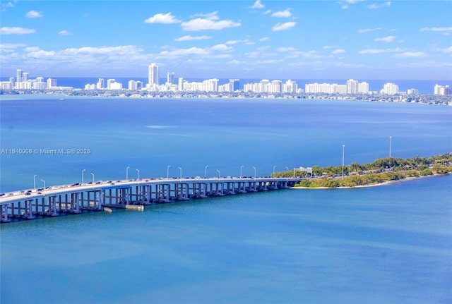 460 NE 28th St Unit 3905, Miami, FL 33137 - water view with city skyline and a notable bridge