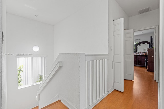 3135 NE 4th St, Homestead, FL 33033 - corridor with light wood-style flooring and healthy amount of natural light