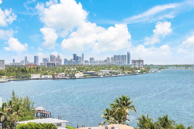 4000 Towerside Ter Unit 1005, Miami, FL 33138 - water view featuring city skyline
