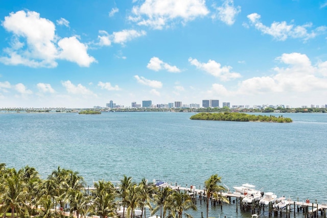 4000 Towerside Ter Unit 1005, Miami, FL 33138 - water view featuring skyline