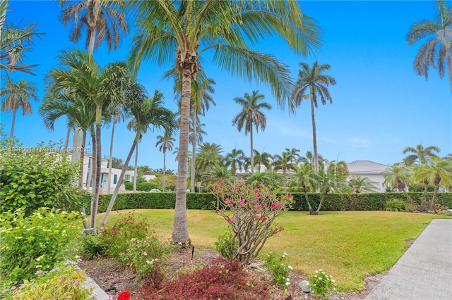99 Seabreeze Ave, Delray Beach, FL 33483 - photo 15
