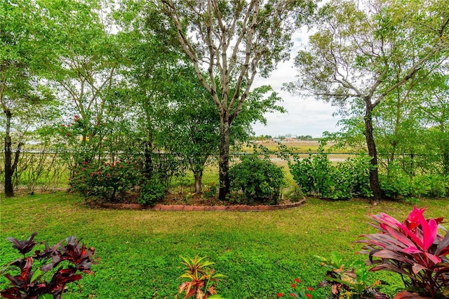 14053 SW 49th St Unit 7, Miramar, FL 33027 - view of yard