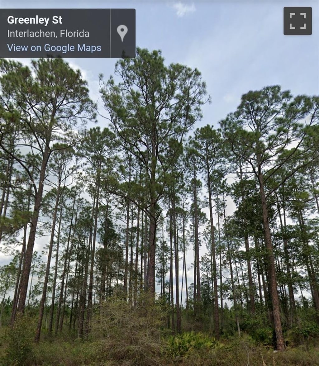 00 Greenley St, Palatka, FL 32148 - photo 1