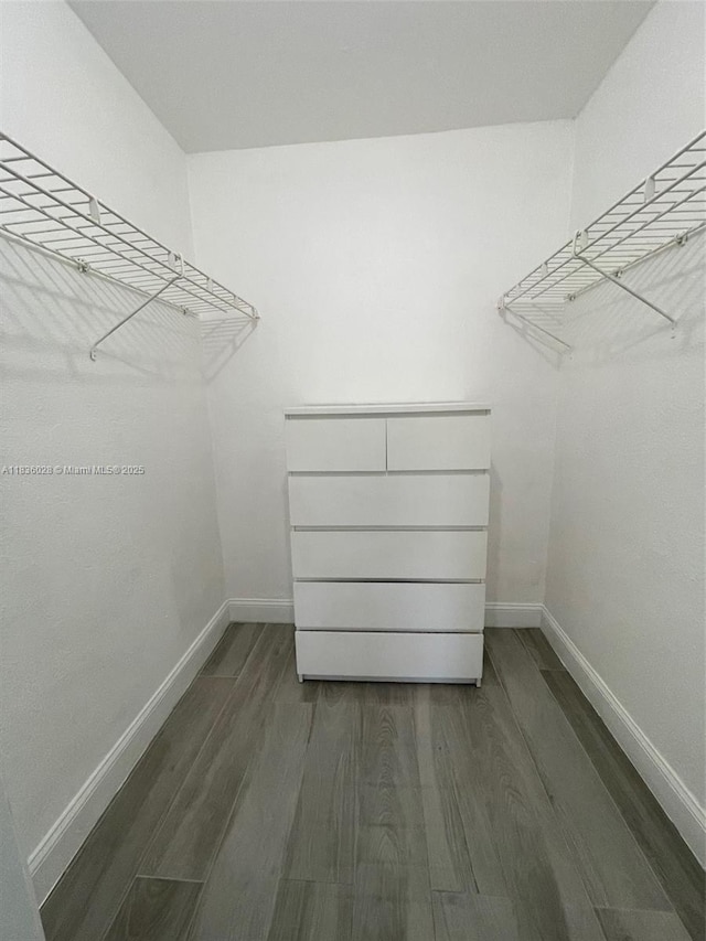 9143 SW 77th Ave Unit B105, Miami, FL 33156 - spacious closet with wood finished floors