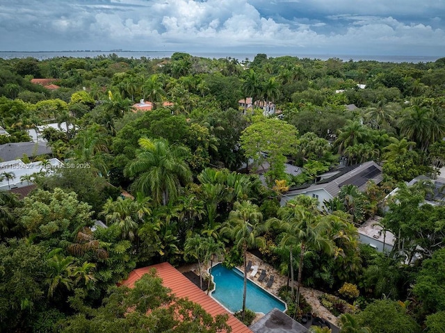 3570 Avocado Ave, Miami, FL 33133 - photo 38