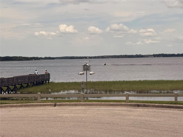 770 Broone, Clermont, FL 34711 - photo 5