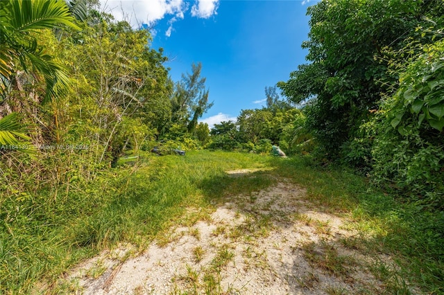 6415 NW 1st Pl, Miami, FL 33150 - photo 2