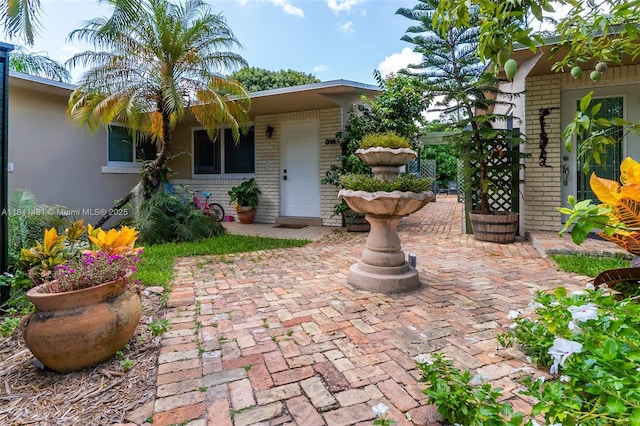3165 Jackson Ave Unit 3, Miami, FL 33133 - photo 2