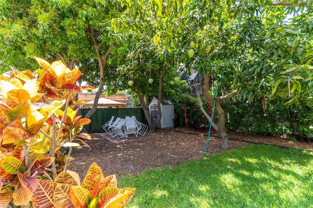 3165 Jackson Ave Unit 3, Miami, FL 33133 - photo 4