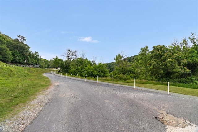 518 E Main St, ,, NC 27248 - photo 48