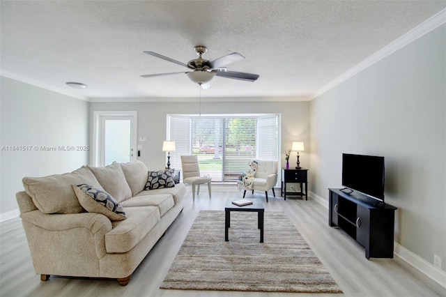 19820 SW 83rd Ave, Cutler Bay, FL 33189 - photo 6