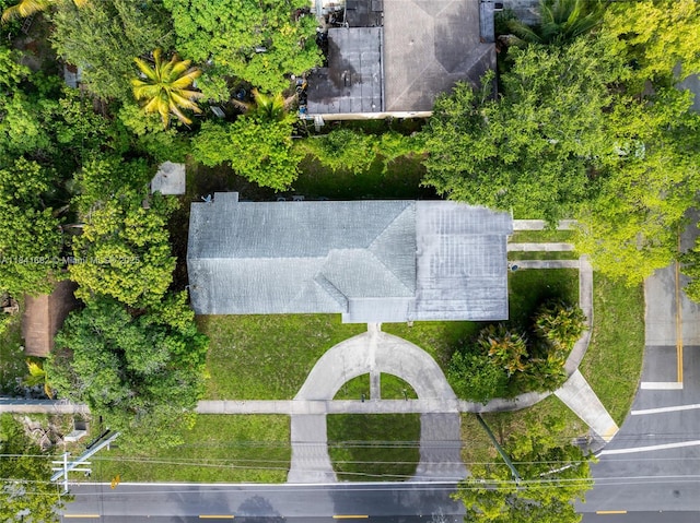 12090 NW 12th Ave, North Miami, FL 33168 - photo 4