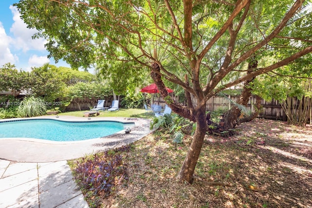 855 NE 111th St, Biscayne Park, FL 33161 - photo 25