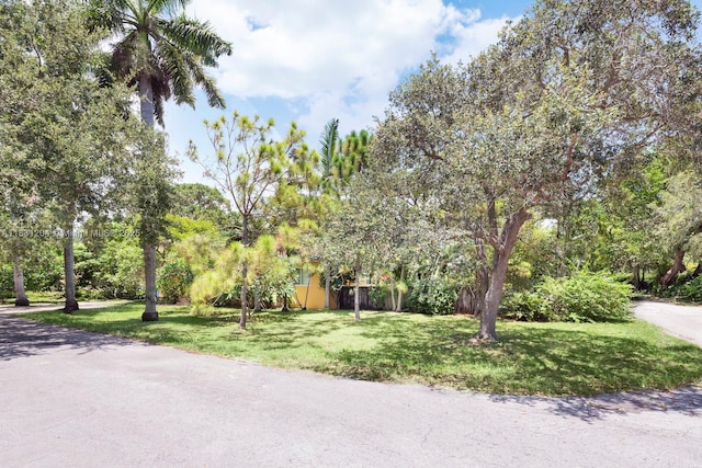 855 NE 111th St, Biscayne Park, FL 33161 - photo 26