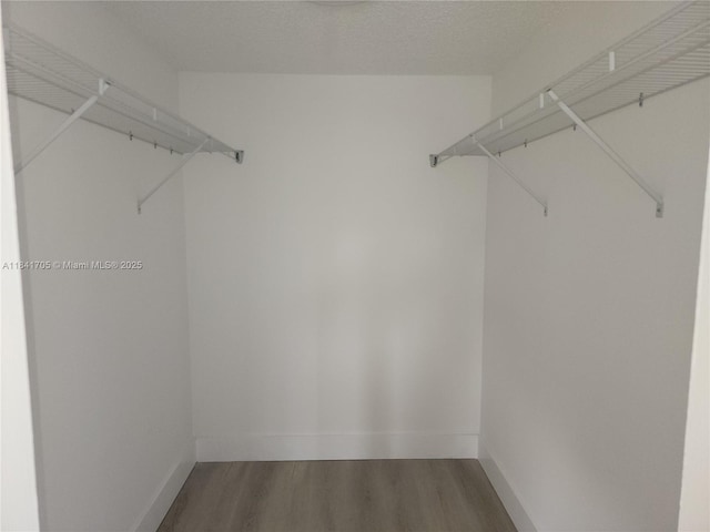 1900 Sabal Palm Dr Unit 305, Davie, FL 33324 - photo 16