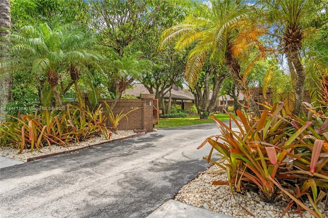 15750 SW 82nd Ave, Palmetto Bay, FL 33157 - photo 61