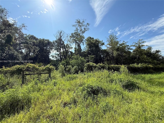 865 N Jinete St, Clewiston, FL 33440 - photo 2