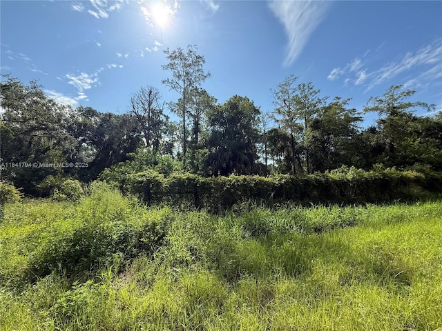 865 N Jinete St, Clewiston, FL 33440 - photo 3
