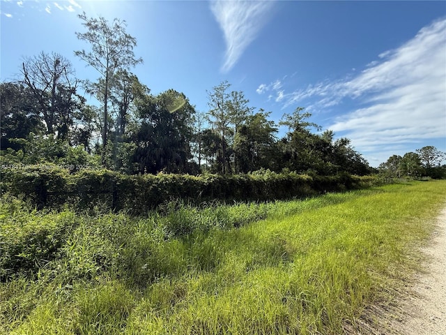 865 N Jinete St, Clewiston, FL 33440 - photo 4