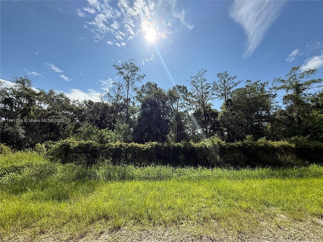 865 N Jinete St, Clewiston, FL 33440 - photo 9