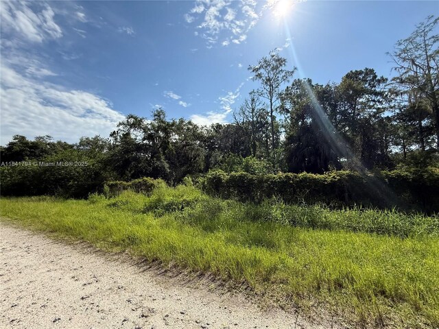 865 N Jinete St, Clewiston, FL 33440 - photo 11