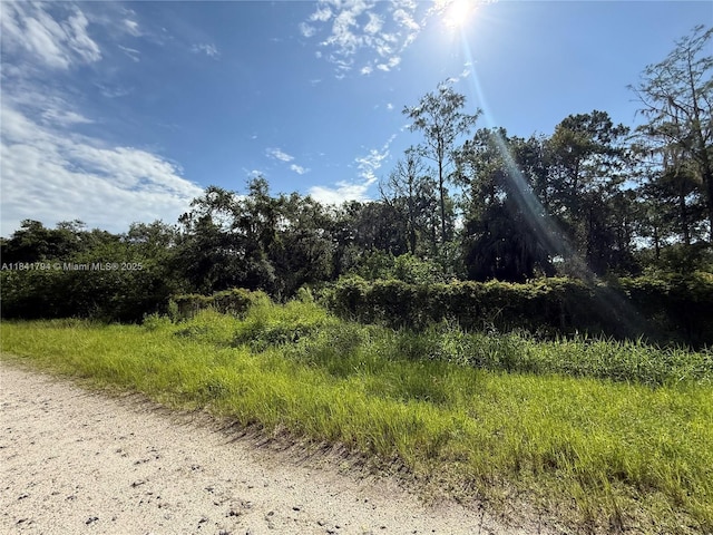 865 N Jinete St, Clewiston, FL 33440 - photo 12