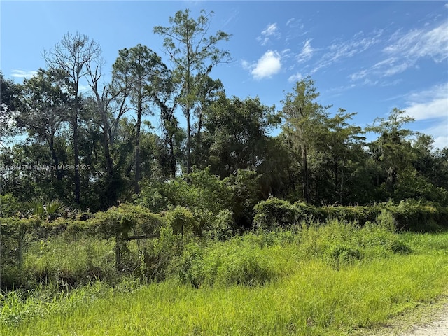 865 N Jinete St, Clewiston, FL 33440 - photo 14