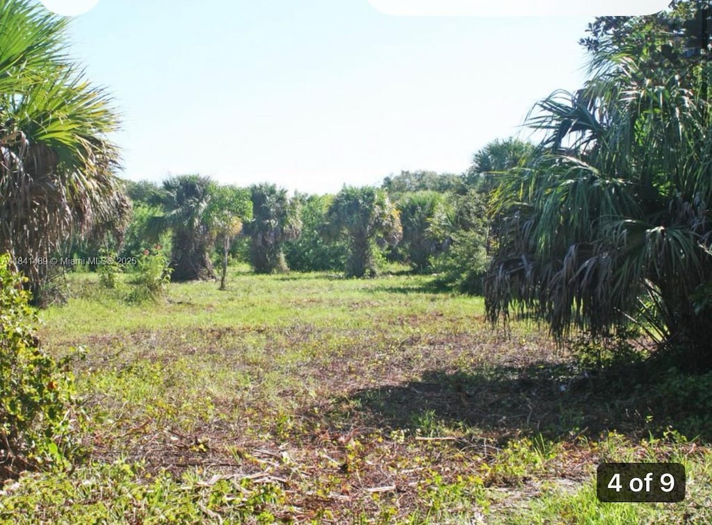 1038 S 37th St, Fort Pierce, FL 34947 - photo 4