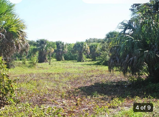 1038 S 37th St, Fort Pierce, FL 34947 - photo 4
