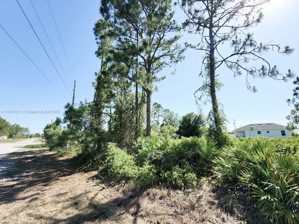 768 Bahama, Lehigh Acres, FL 33974 - photo 1