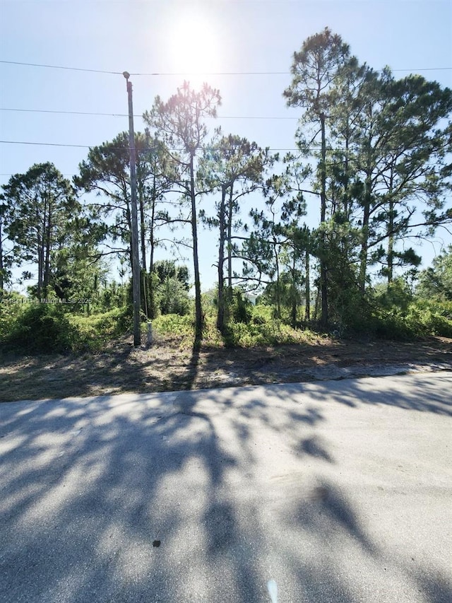 768 Bahama, Lehigh Acres, FL 33974 - photo 2