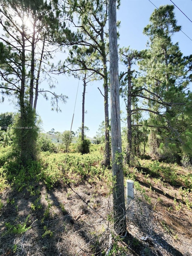 768 Bahama, Lehigh Acres, FL 33974 - photo 3