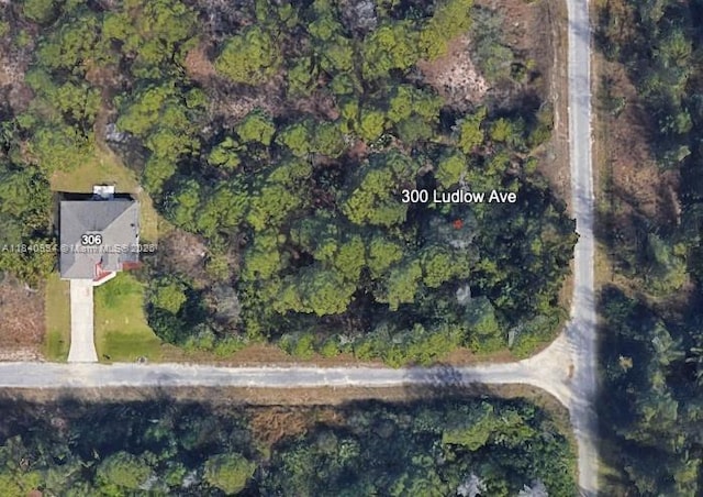 300 Ludlow Ave, Lehigh Acres, FL 33972 - photo 1
