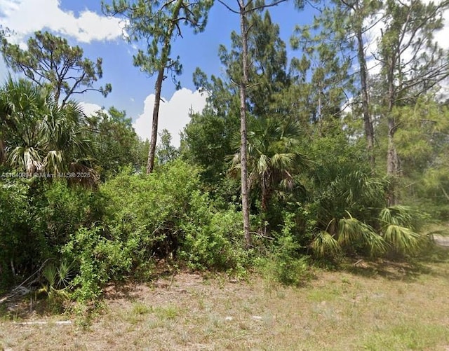 300 Ludlow Ave, Lehigh Acres, FL 33972 - photo 3