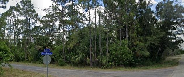 300 Ludlow Ave, Lehigh Acres, FL 33972 - photo 4