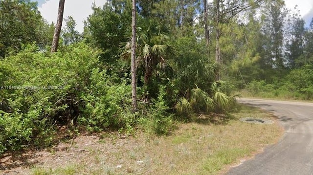 300 Ludlow Ave, Lehigh Acres, FL 33972 - photo 5