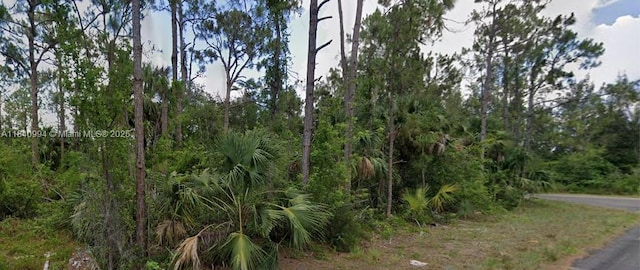 300 Ludlow Ave, Lehigh Acres, FL 33972 - photo 7