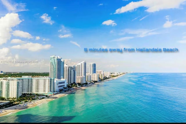 100 NW 8th Ave, Hallandale Beach, FL 33009 - photo 36