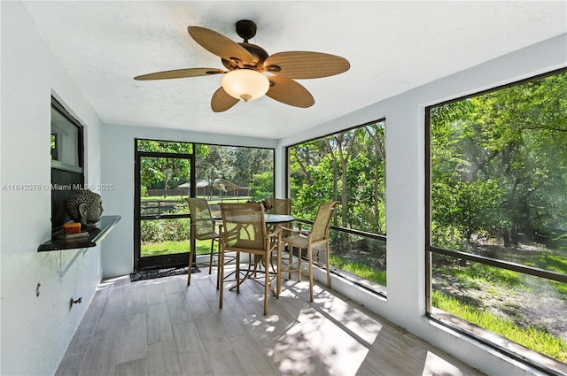 5600 SW 195th Ter, Southwest Ranches, FL 33332 - photo 21