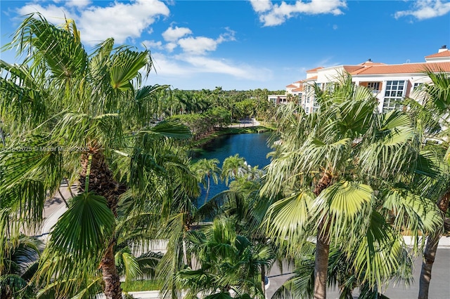 765 Crandon Blvd Unit Ph-12, Key Biscayne, FL 33149 - photo 16